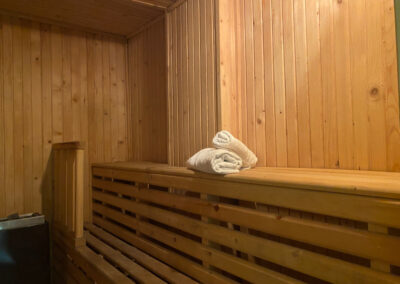 Tavas Guesthouse - sauna